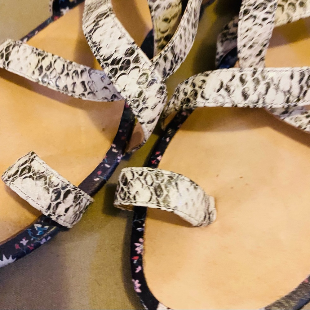 Cabi Athena Python Embossed Gladiator Sandals Siz… - image 6